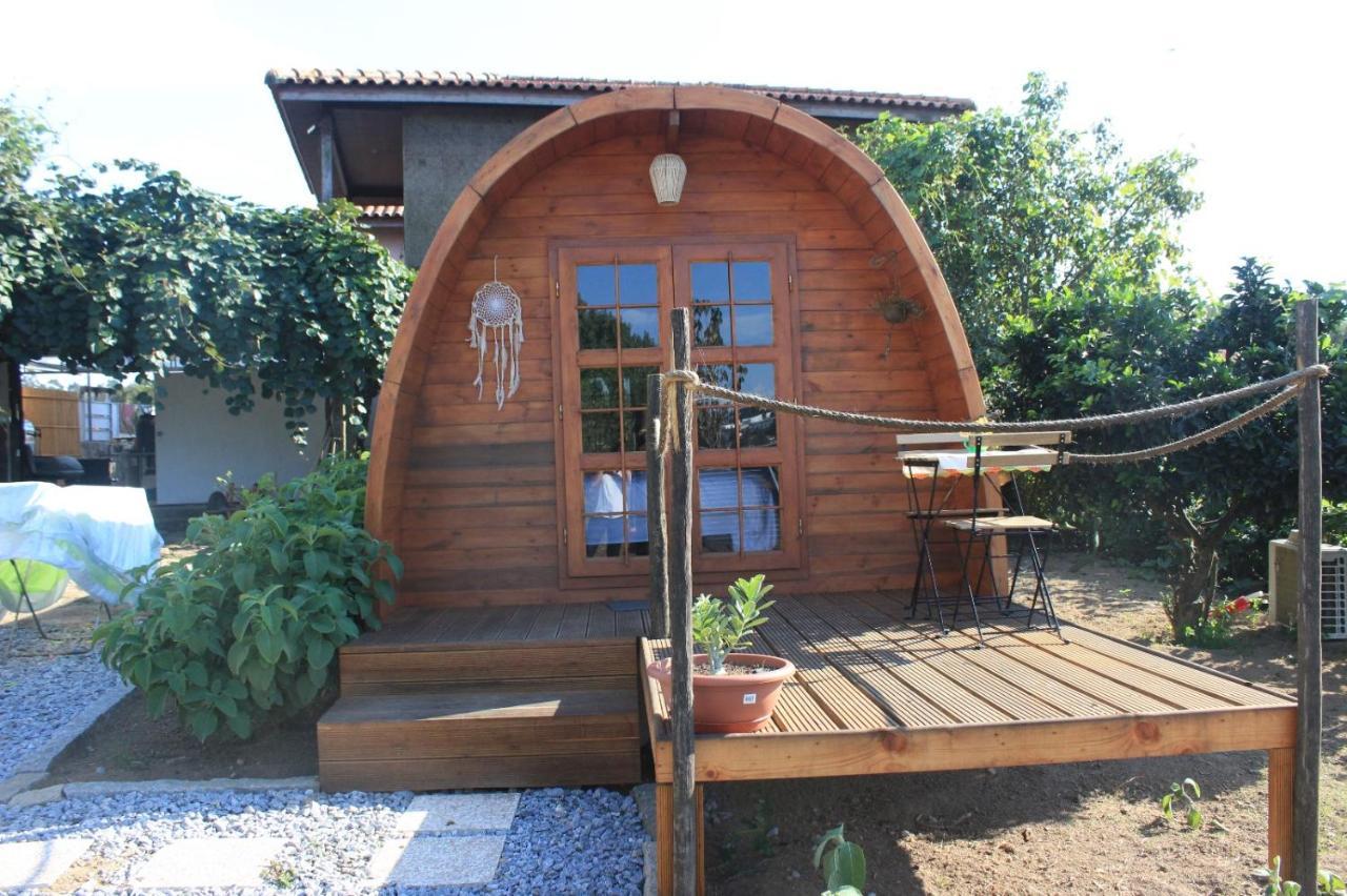 Casa Da Avo Miquinhas 호텔 파코스 데 페레이라 외부 사진
